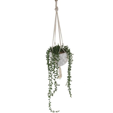 CONSERVATORIO 4 x 4 x 12 in. String of Pearls Macrame Hanging Ceramic Donkey Tails Faux Succulent Planter CO2578376